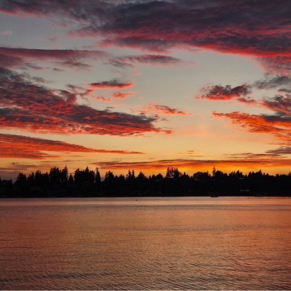 Meet your Posher, Theresa - Picture 1 of 1